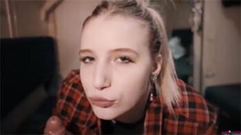 Mamada de polla en el tren con un desconocido